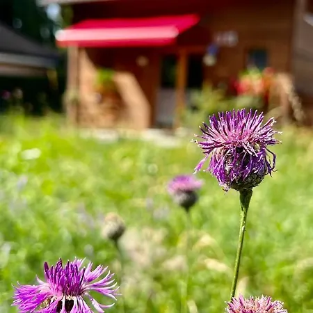 Fiechtehuesli Apartament