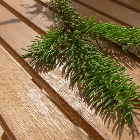 Fiechtehuesli Apartament *