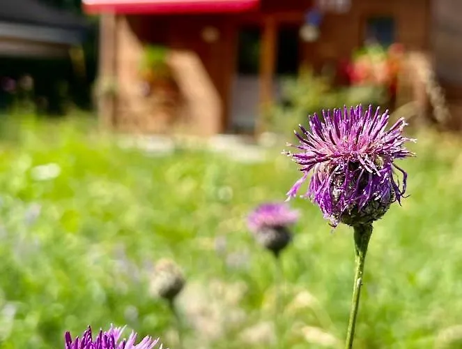 Fiechtehüsli Apartment