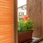 Fiechtehuesli Apartmán